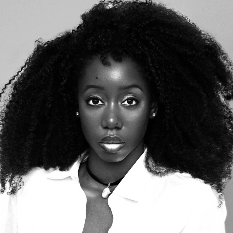 Lewinale Havette